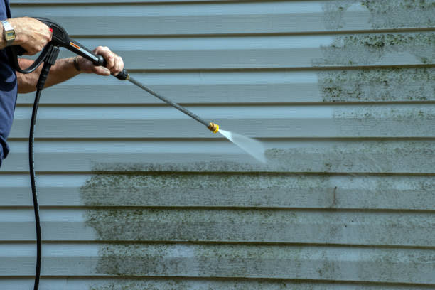 Best Brick and Stone Cleaning in West Elmira, NY